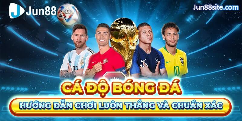 Hướng Dẫn Chơi Cá Độ Bóng Đá Luôn Thắng Và Chuẩn Xác